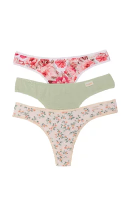 FRASHE ART 5000 COLA LESS PACK X3